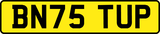 BN75TUP