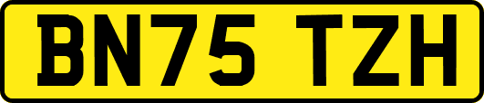BN75TZH