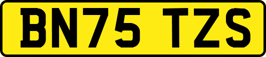 BN75TZS