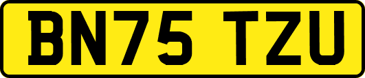 BN75TZU
