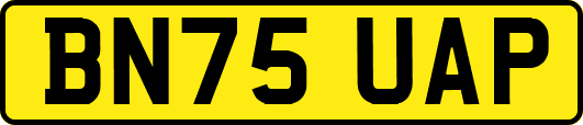 BN75UAP