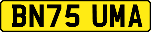 BN75UMA