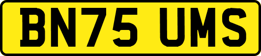 BN75UMS