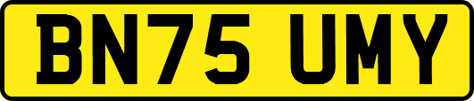 BN75UMY