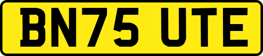 BN75UTE