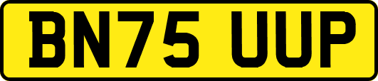 BN75UUP