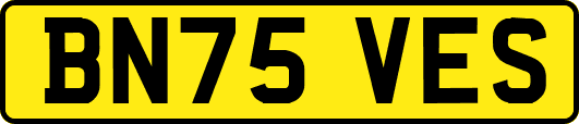 BN75VES