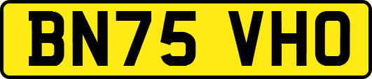 BN75VHO