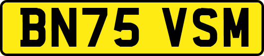 BN75VSM