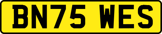 BN75WES