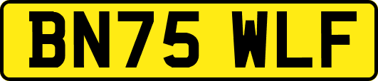 BN75WLF