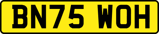 BN75WOH