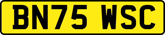 BN75WSC