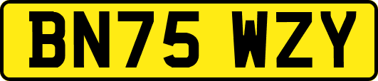 BN75WZY