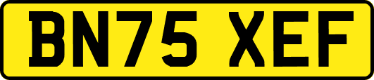BN75XEF