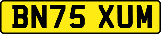 BN75XUM
