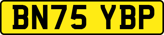 BN75YBP
