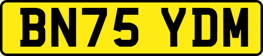 BN75YDM