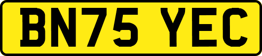 BN75YEC