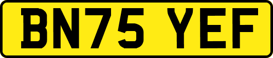 BN75YEF