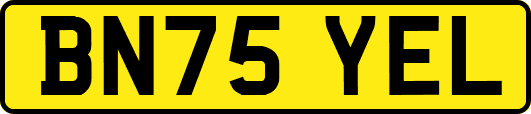 BN75YEL