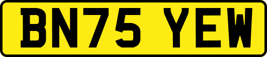 BN75YEW