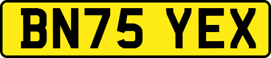 BN75YEX