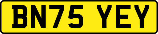 BN75YEY