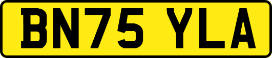 BN75YLA