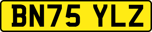 BN75YLZ