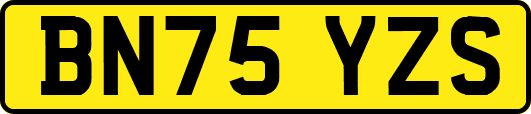 BN75YZS