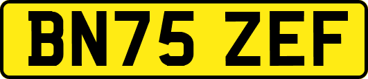 BN75ZEF