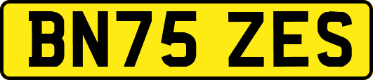 BN75ZES