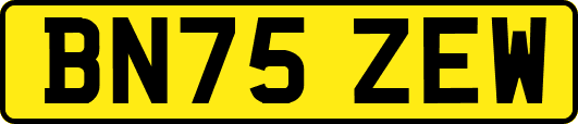 BN75ZEW