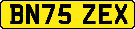 BN75ZEX
