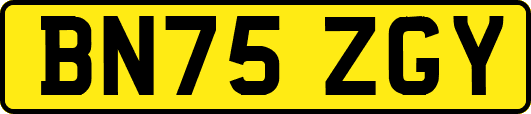 BN75ZGY