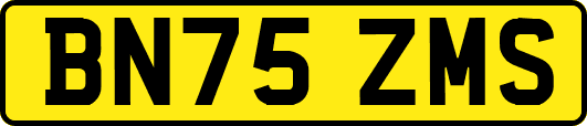 BN75ZMS