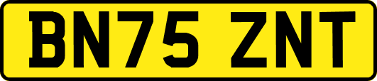 BN75ZNT