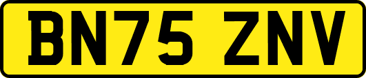 BN75ZNV