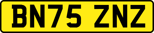 BN75ZNZ