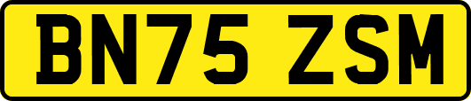 BN75ZSM