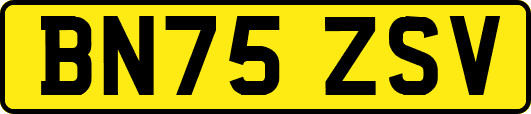 BN75ZSV