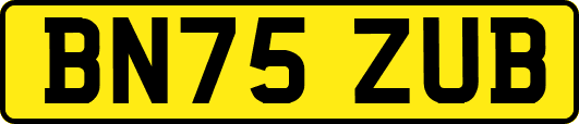 BN75ZUB