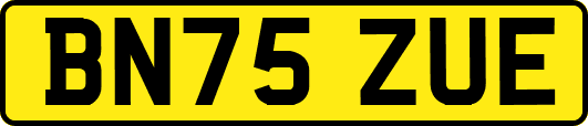 BN75ZUE