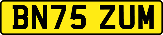 BN75ZUM