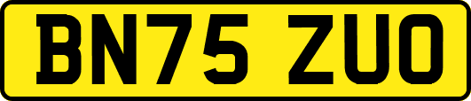 BN75ZUO