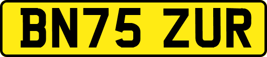 BN75ZUR