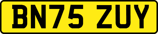 BN75ZUY
