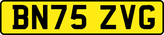 BN75ZVG