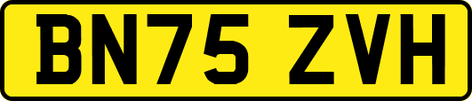 BN75ZVH